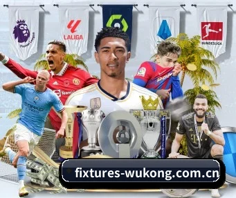 fixtures-wukong.com.cn APP